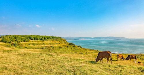 吃瓜海角,揭秘娱乐圈背后的秘密与真相