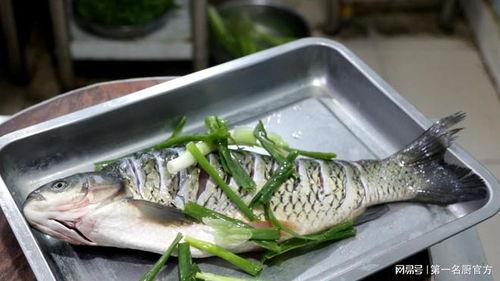 鱼肉吃瓜,探寻美食界的绝妙组合