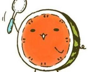 2019吃瓜成语大全,2019年度热门吃瓜成语大盘点