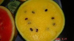 你吃的瓜把人馋死了,揭秘“吃瓜”背后的诱惑与诱惑