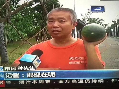 吃瓜死亡事件,揭秘吃瓜死亡事件的惊人真相