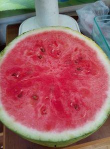 在医院也有瓜吃,揭秘医疗环境中的温馨一角