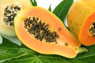 胃病可以吃佛瓜吗,胃病患者适宜食用佛瓜的饮食建议